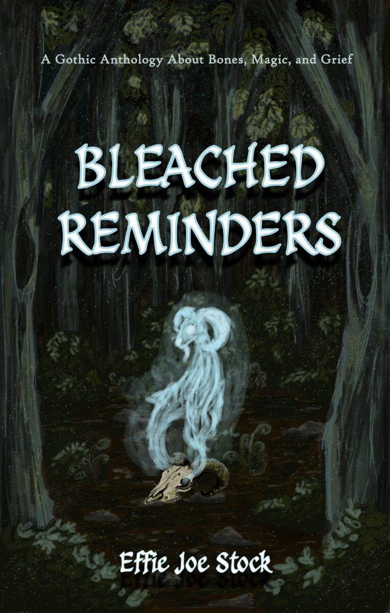 Bleached Reminders Book Cover